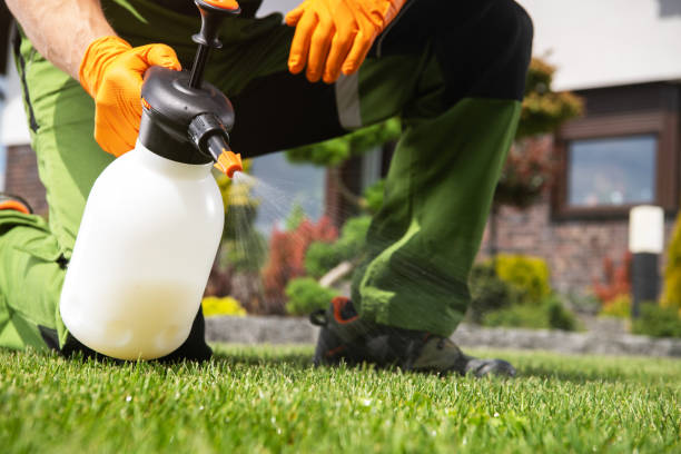 Professional Pest Control in Three Lakes, WA