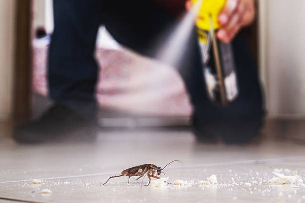 Best Emergency Pest Control  in Three Lakes, WA