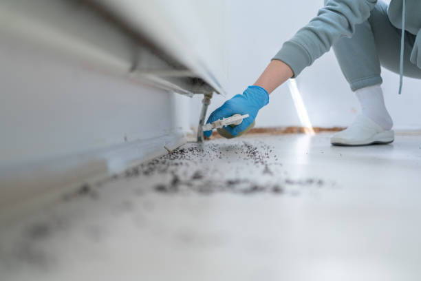 Best Residential Pest Control  in Three Lakes, WA